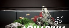 Aquarium Designer