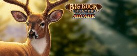 Big Buck Hunter Arcade