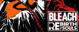 Bleach Rebirth of Souls