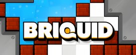 Briquid