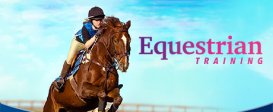 Equestrian Training
