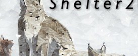 Shelter 2