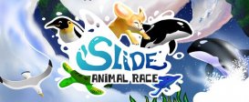 Slide - Animal Race