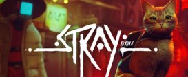 Stray